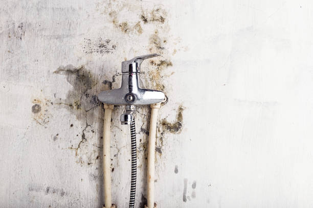Reliable Bedford, TX Mold Remediation Solutions