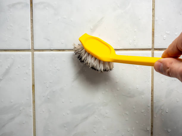 Best Mold Remediation for Schools in Bedford, TX