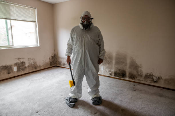 Best Post-Flood Mold Remediation in Bedford, TX