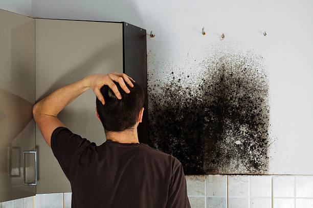 Best Crawl Space Mold Remediation in Bedford, TX